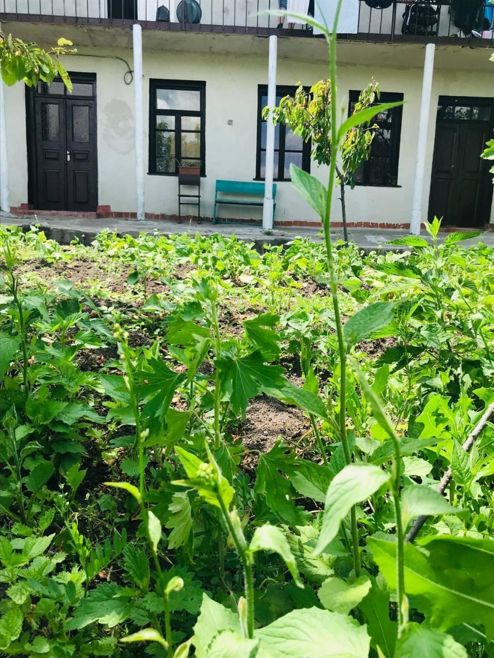 Dzoragyugh B&B Exterior photo